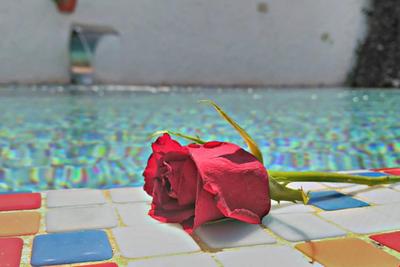 Mina Butik Otel Alaçatı