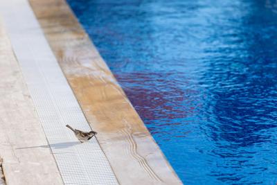 N Hotels Çeşme