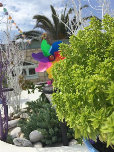 Saki Alaçatı Otel & Meyhane