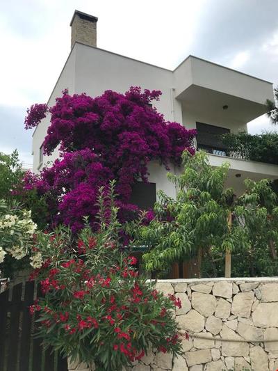 Tatil Evi