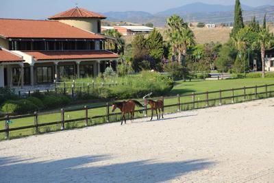 Konvoy Hotel & The Country Club