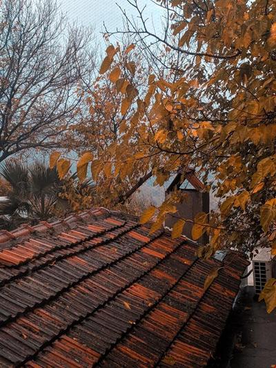 Deniss Pansiyon