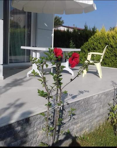 Blue House Villa