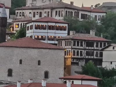 Fatma Hanım Konaĝı