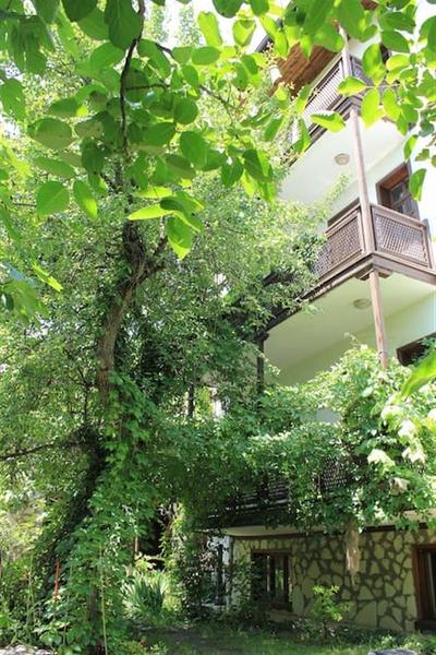 Kuscu Konak - Cafe Garden
