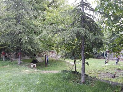 Nermin Hanım Konagı
