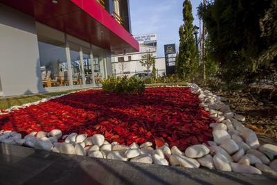 Business Palas Hotel