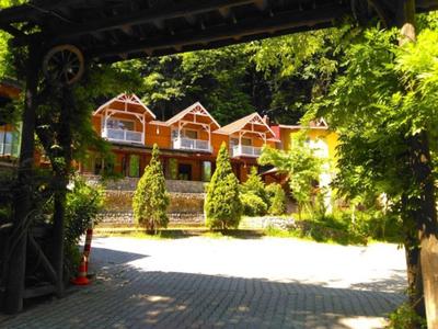 Maşukiye Dream Homes