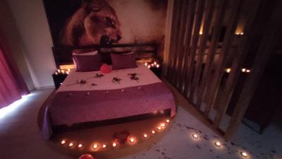 Lion Suites
