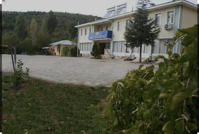 The Hilltop