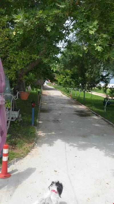 Tuana Tatil Köyü