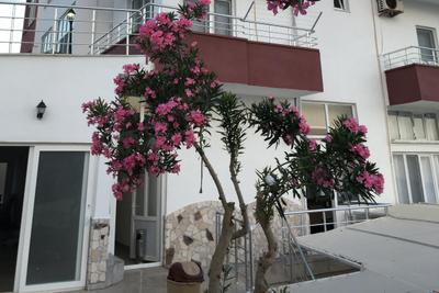 Pınar Motel
