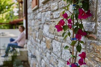 Alp Suites Lavanta