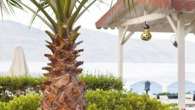 Baga Hotel Gökova