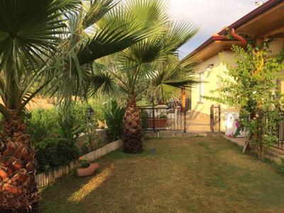 Three Palms Suites