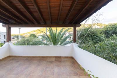 Palmtree | Bodrum