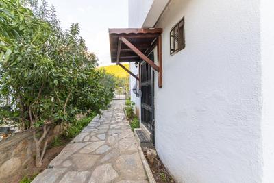 Palmtree | Bodrum