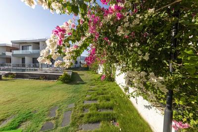 Agatha | Bodrum