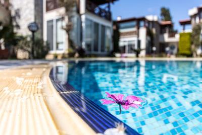 Earthsea | Bodrum