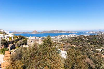 Raisin | Bodrum