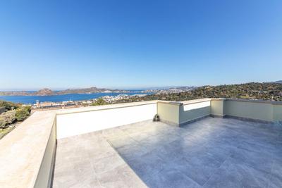 Raisin | Bodrum