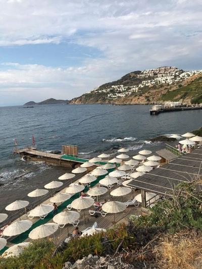Moby | Bodrum
