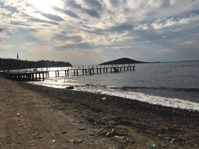 Moby | Bodrum