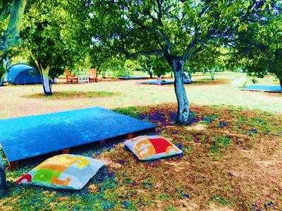 Ecofarm Camp & Bungalow