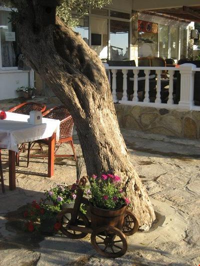 Gümüşlük Ayçi Hotel