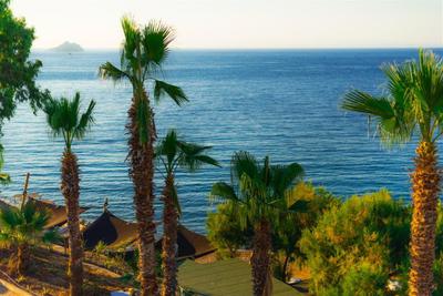 La Local Beach&Hotel Yalıkavak