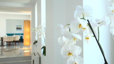 Saraya Bodrum