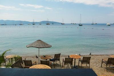 Surfer Caravan Gastro Pub & Suites