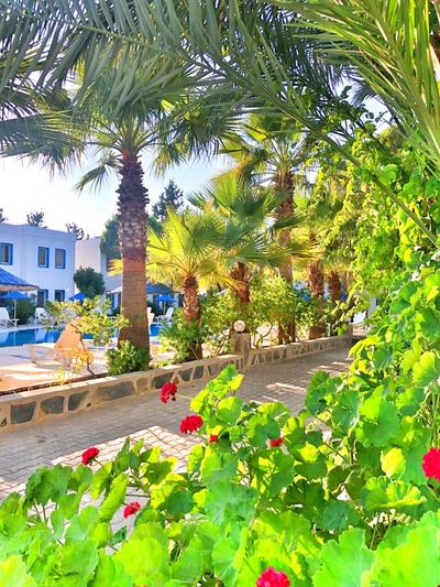 Yakamoz Otel Ortakent