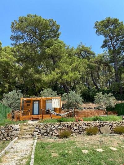 Tiny Mini House