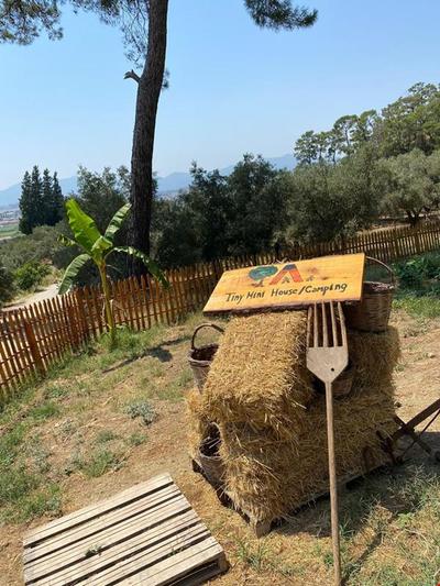 Tiny Mini House