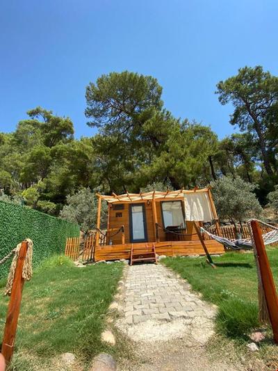 Tiny Mini House