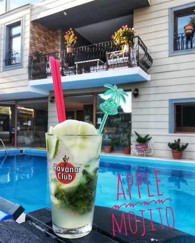 Dalyan Hotel Palmyra