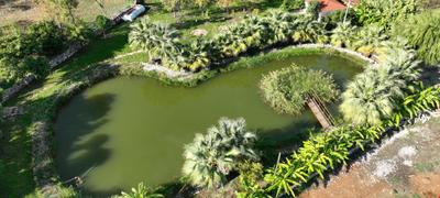 Angels Garden