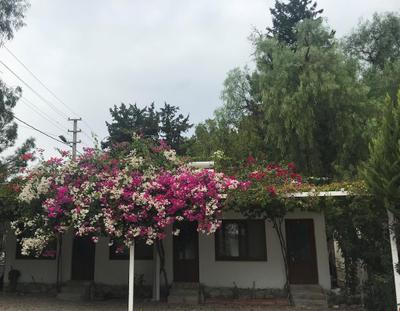 Berke Cafe - Pansiyon