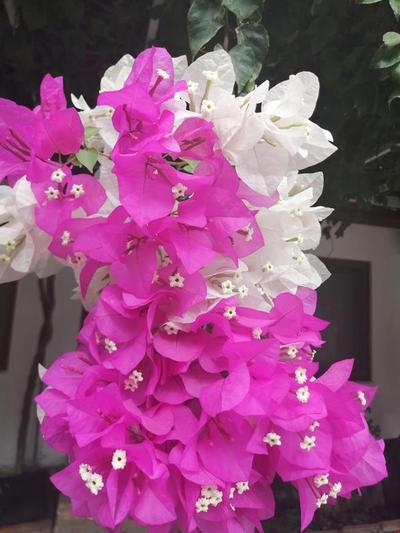 Berke Cafe - Pansiyon