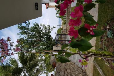 Datça Zeytin Evleri