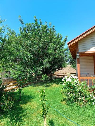 Dönmez Ahşap Bungalov