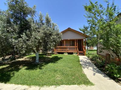 Olive Bungalov