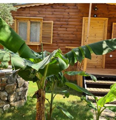 Derin Taş Bungalow 