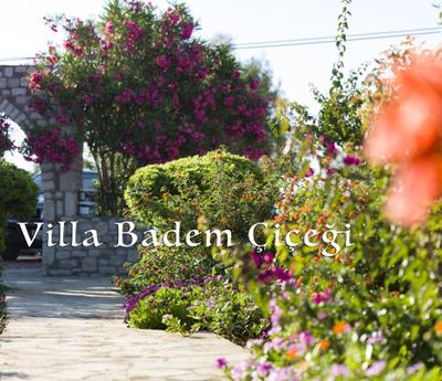 Villa Badem Çiçeği