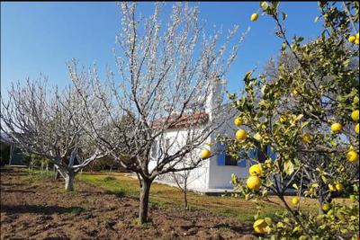 Villa Nar