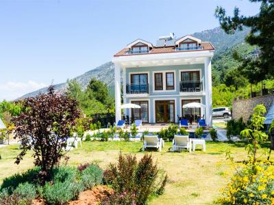 Villa For Family