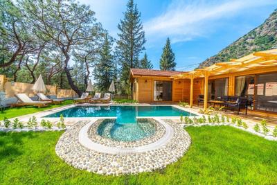 Villa Pineyards