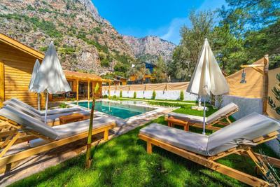Villa Pineyards