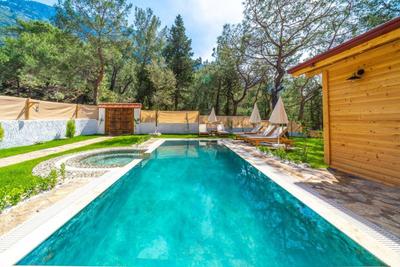 Villa Pineyards